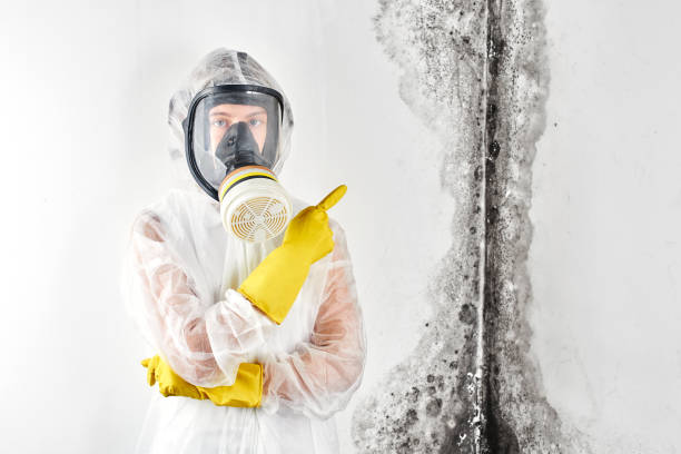 Best Mold Removal for HVAC Installations  in San Carlos Park, FL