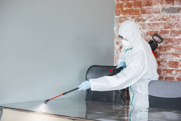 Why You Should Choose Our Mold Remediation Services in San Carlos Park, FL