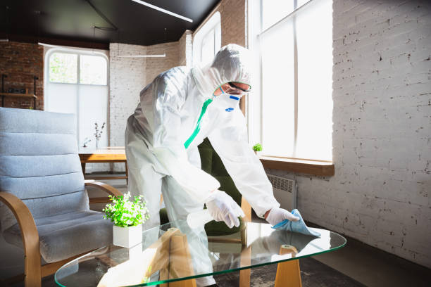 Professional Mold Removal Services in San Carlos Park, FL